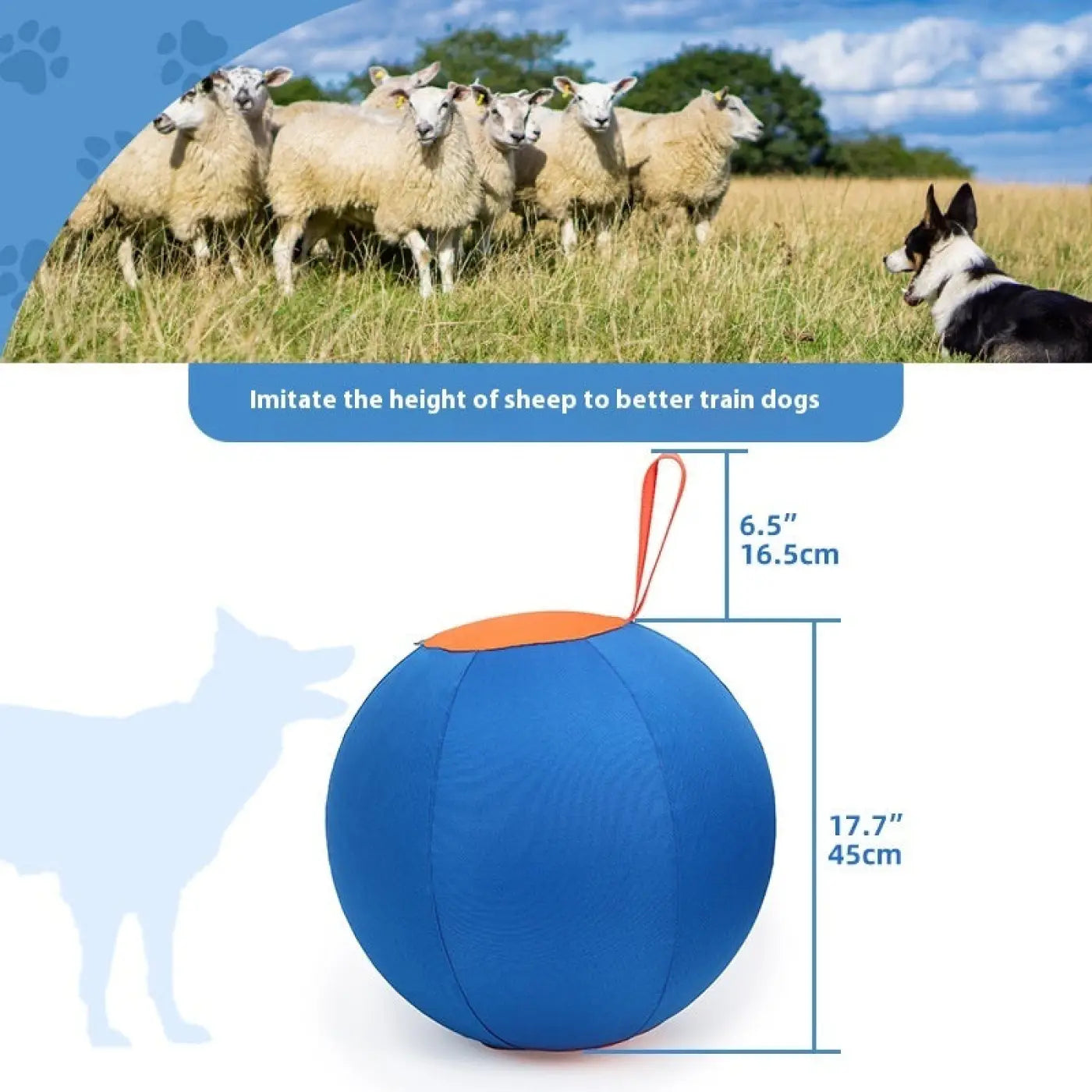 The Ball Depot dog ball: Self-Hi Pet Training Ball