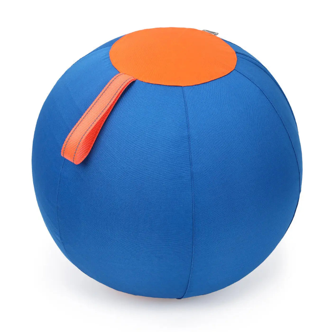 The Ball Depot dog ball: Self-Hi Pet Training Ball