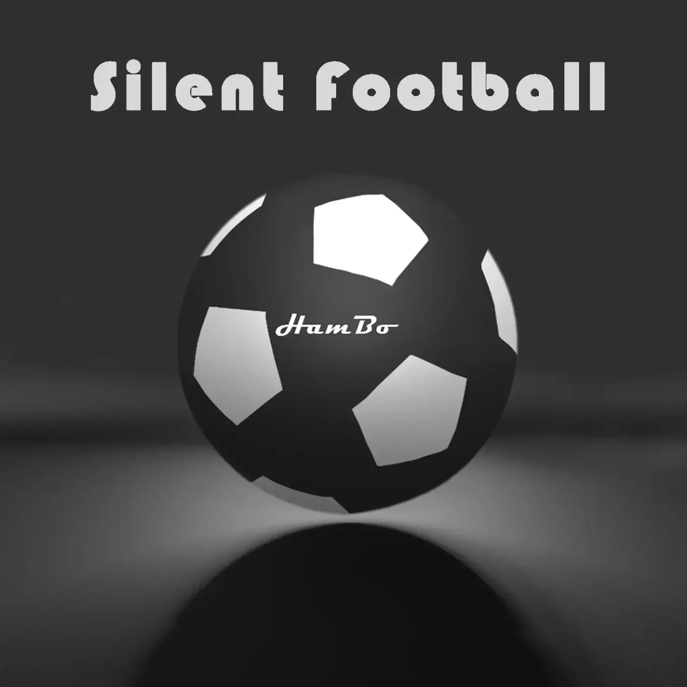 The Ball Depot soccer ball: Silent Foam SoccerFootball