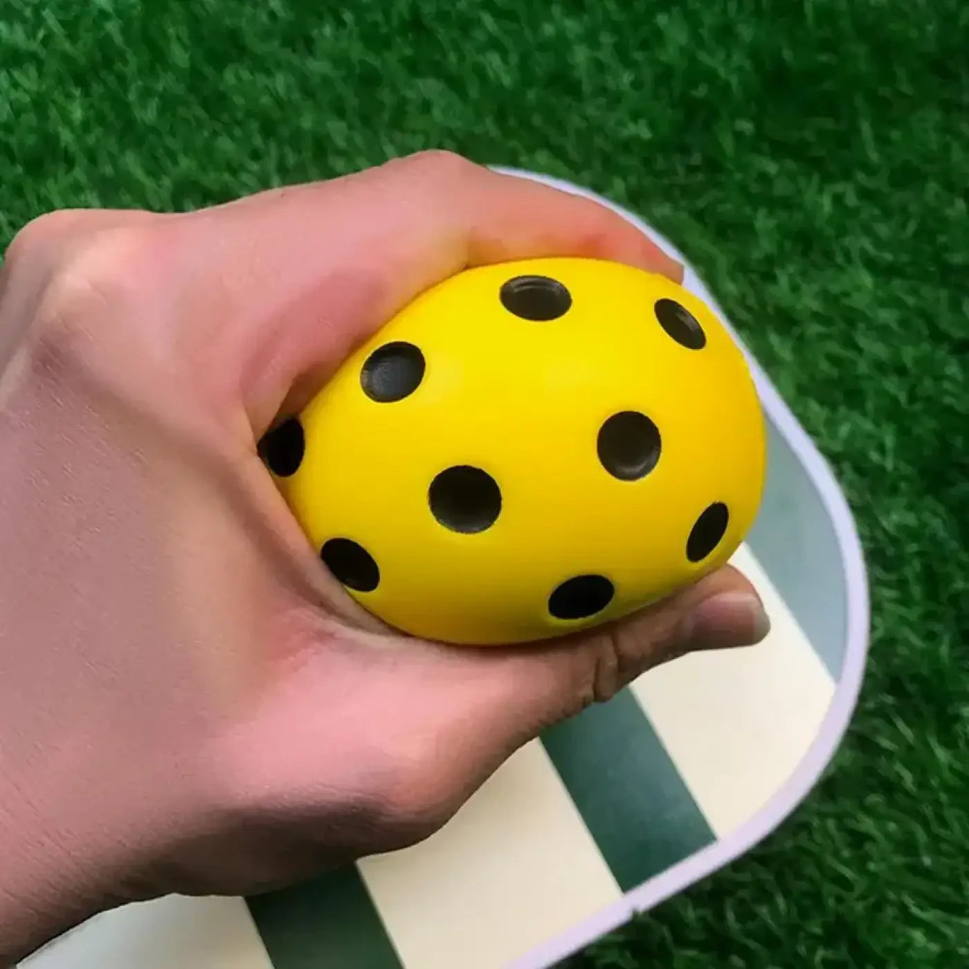 The Ball Depot pickleball: Silent Pickleball