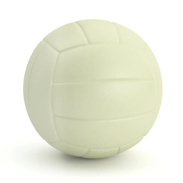 The Ball Depot volley ball: Size 5 glowing Volleyball