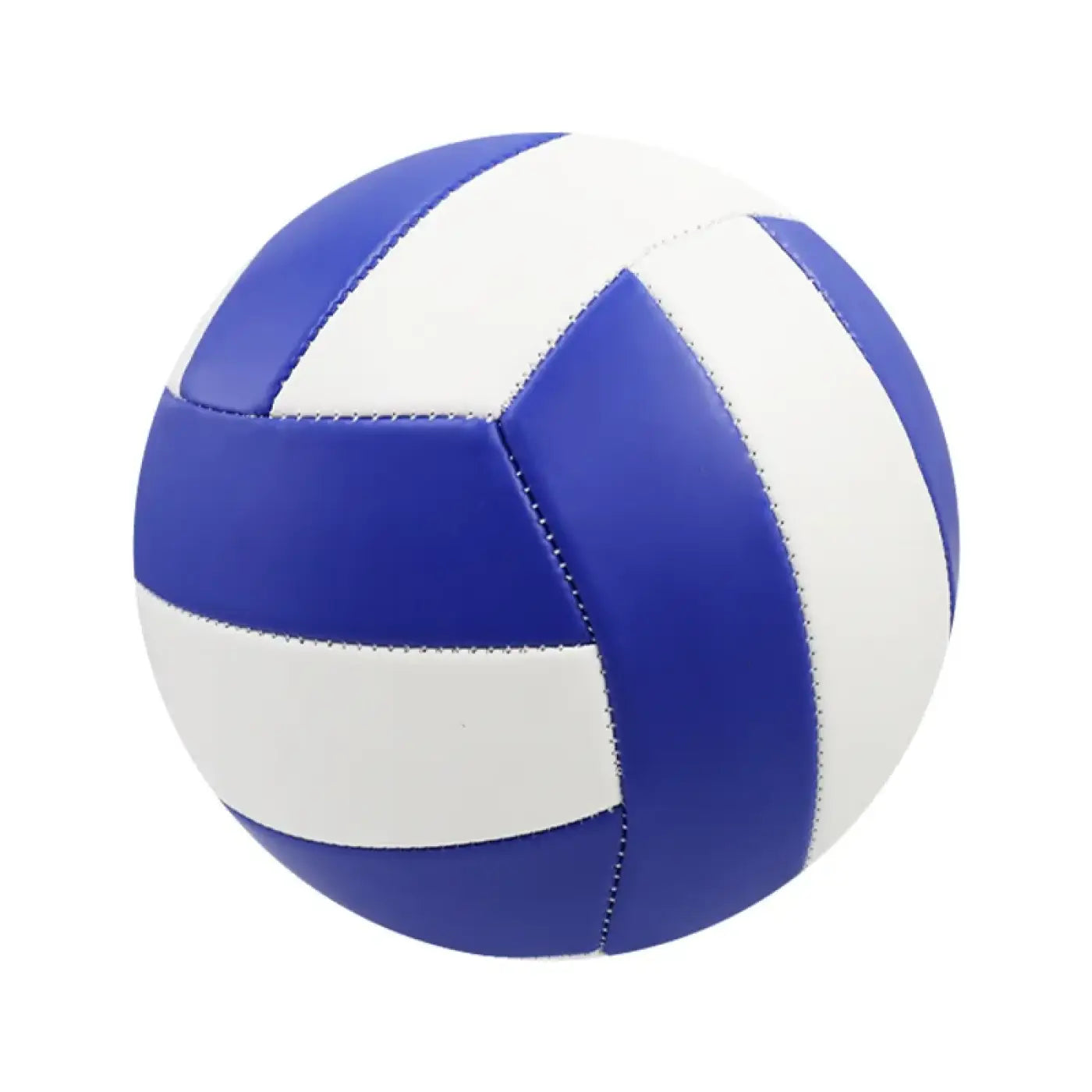 The Ball Depot volleyball: Size 5 Soft Professional Touch Volleyball