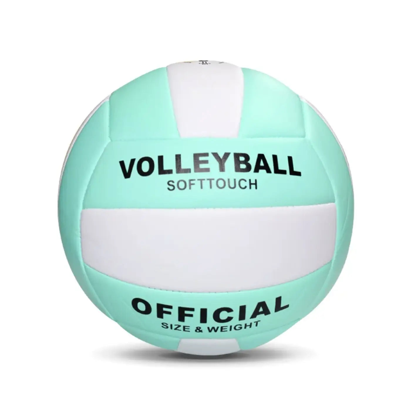 The Ball Depot volleyball: Size 5 Soft Professional Touch Volleyball