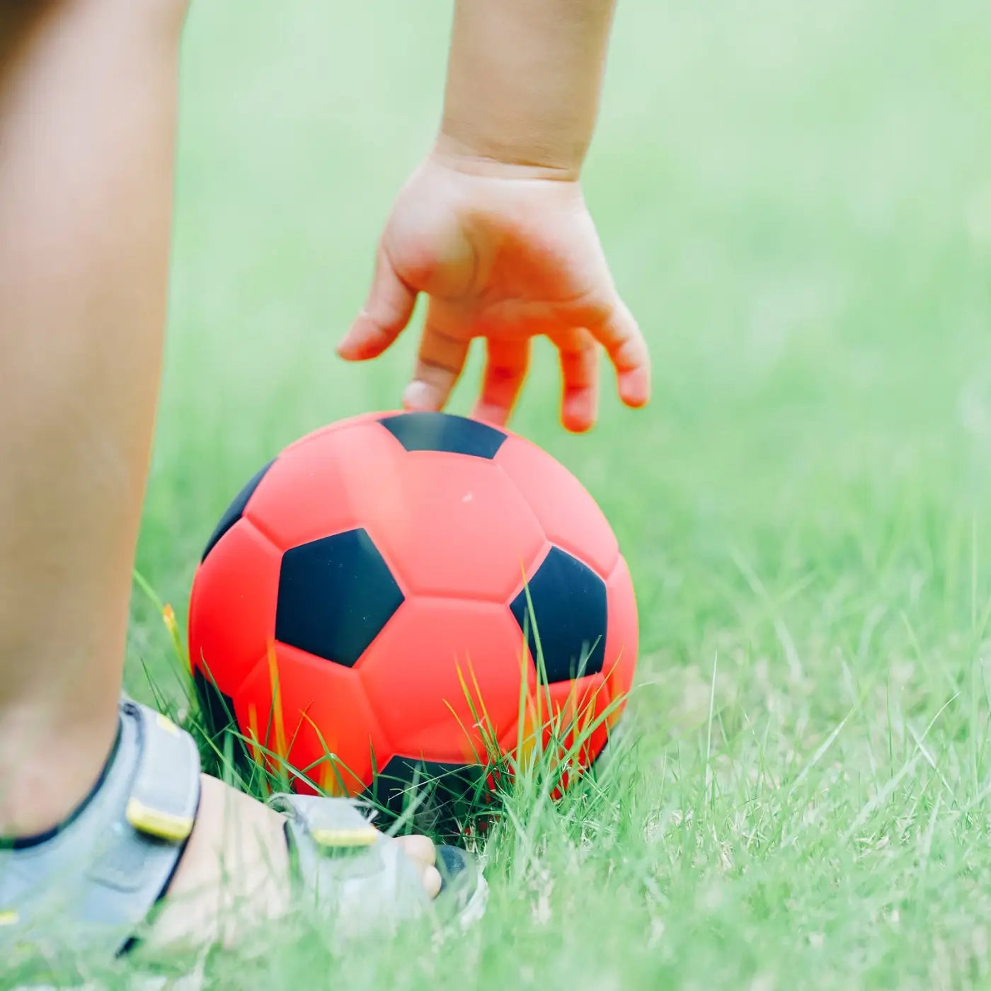 The Ball Depot decorative ball: Soccer Silicone Night Light