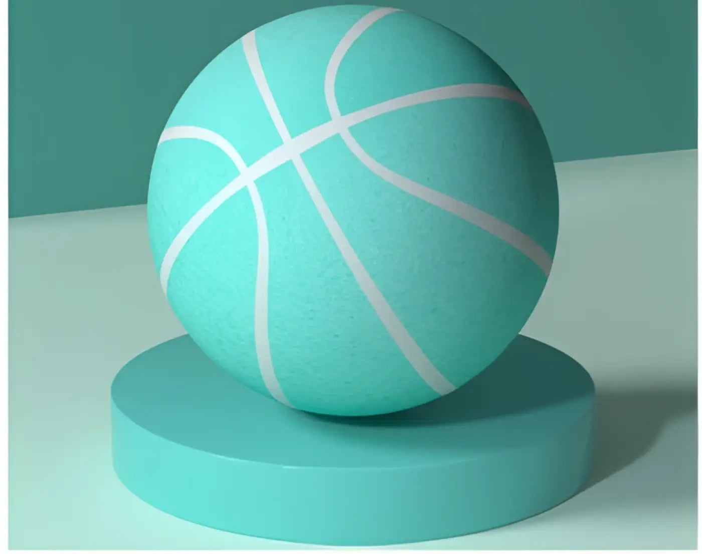 The Ball Depot basketball: Soft Squishy Basketballs