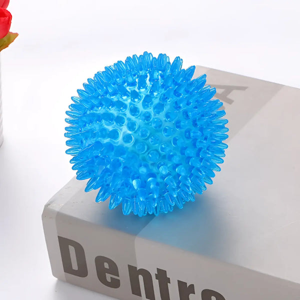 The Ball Depot Pet Toys: Spikey and Smooth Dog Ball