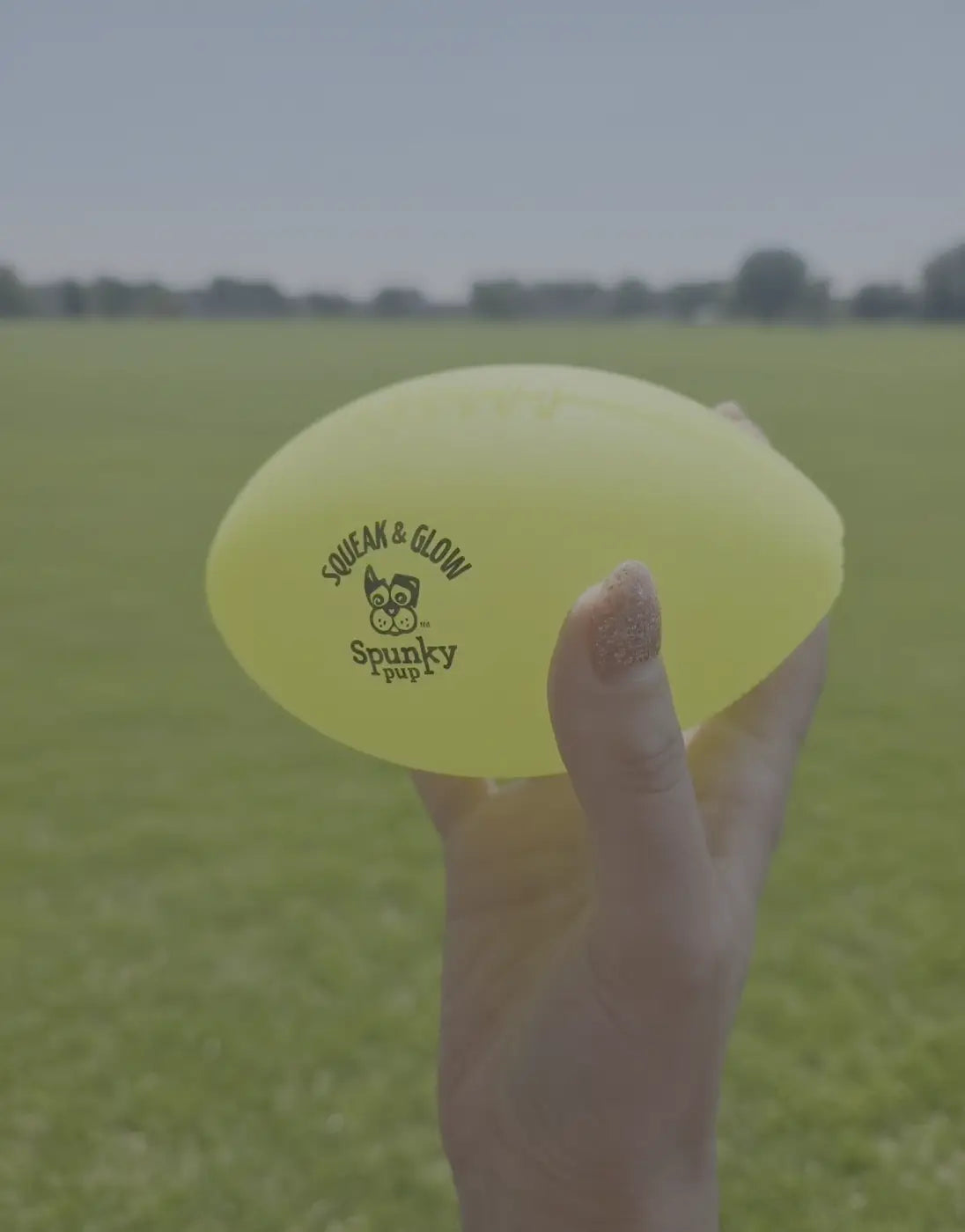 Spunky Pup glow dog ball: Squeak and Glow Dog Football