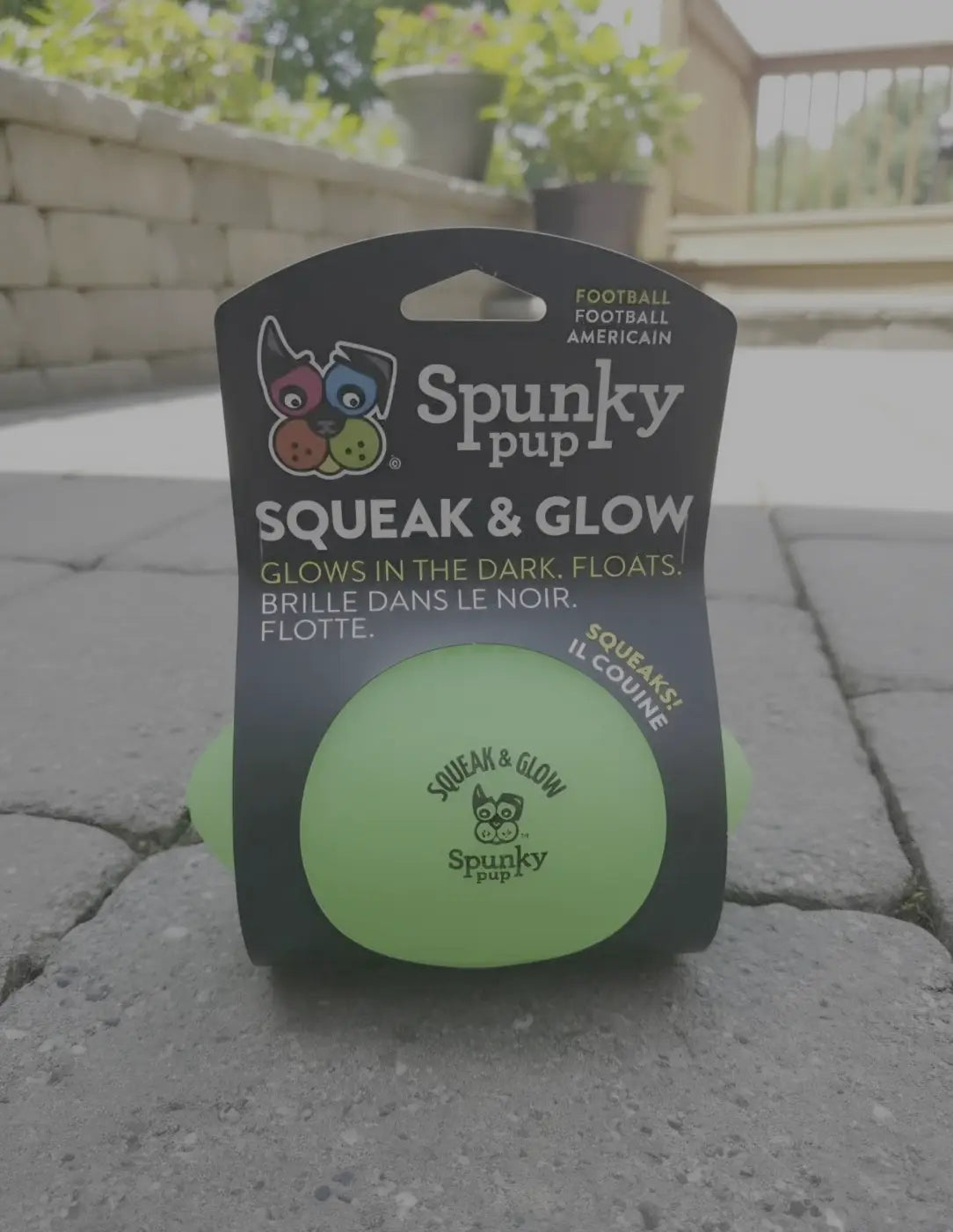 Spunky Pup glow dog ball: Squeak and Glow Dog Football