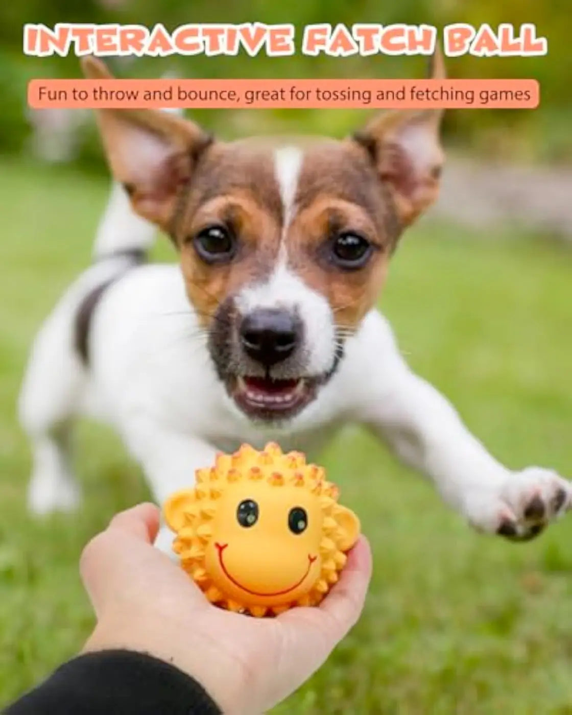 The Ball Depot dog ball: Squeaky Dog Ball