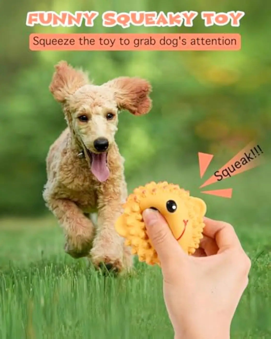 The Ball Depot dog ball: Squeaky Dog Ball