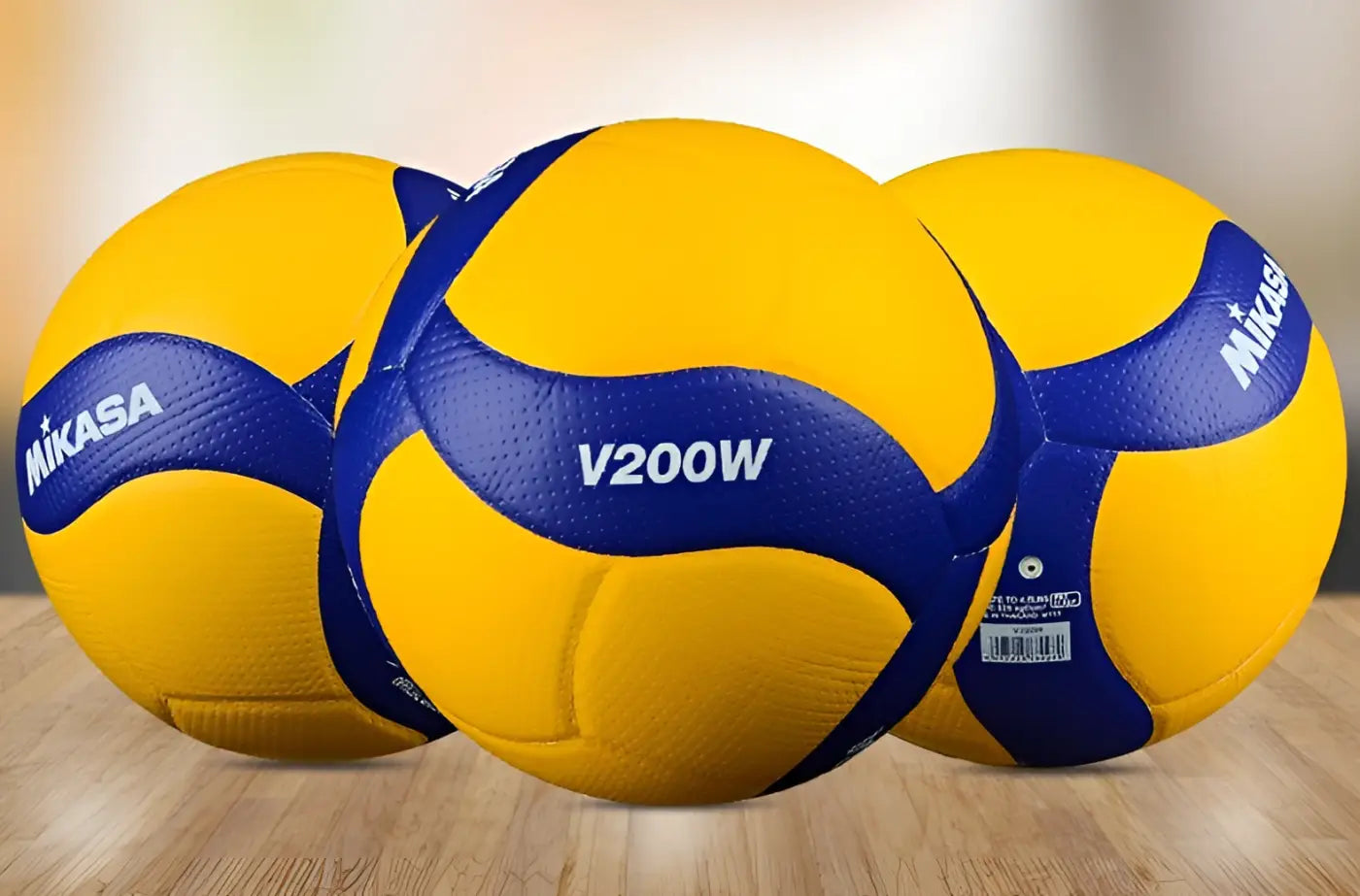 The Ball Depot balls: Standard Competition Volleyball