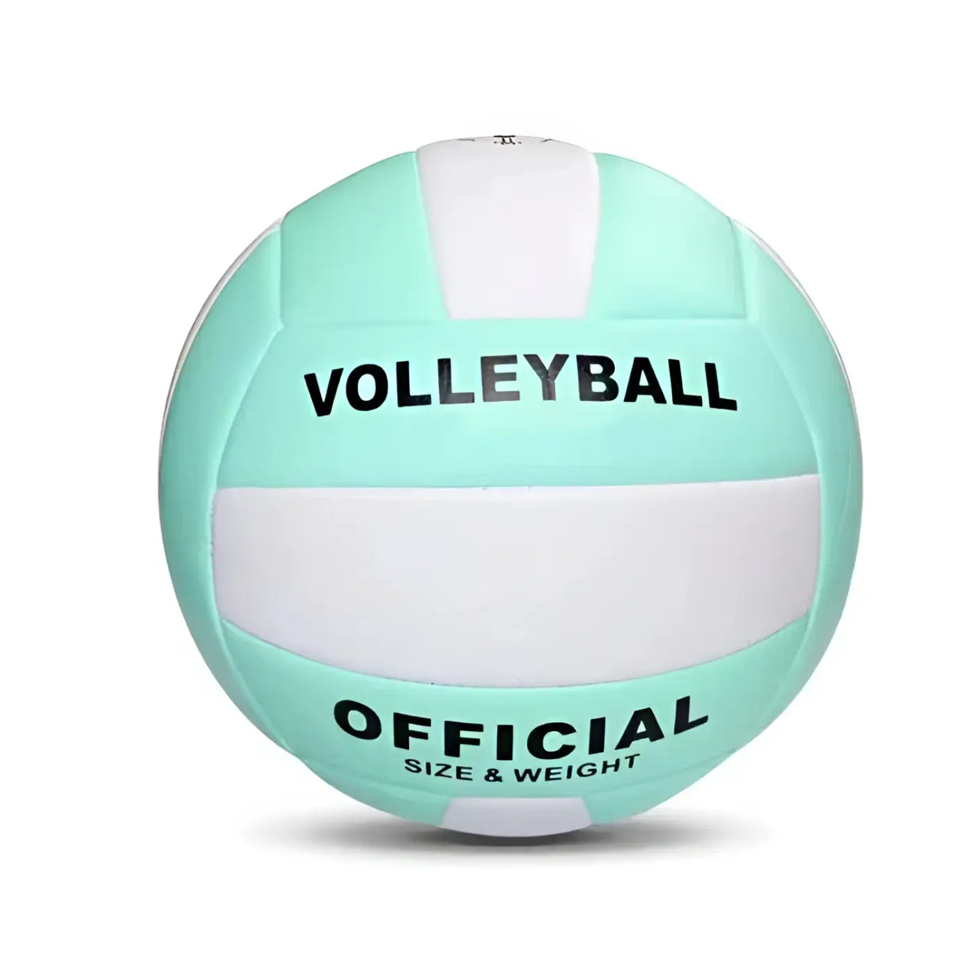 The Ball Depot volleyball: Students Beach Volleyball