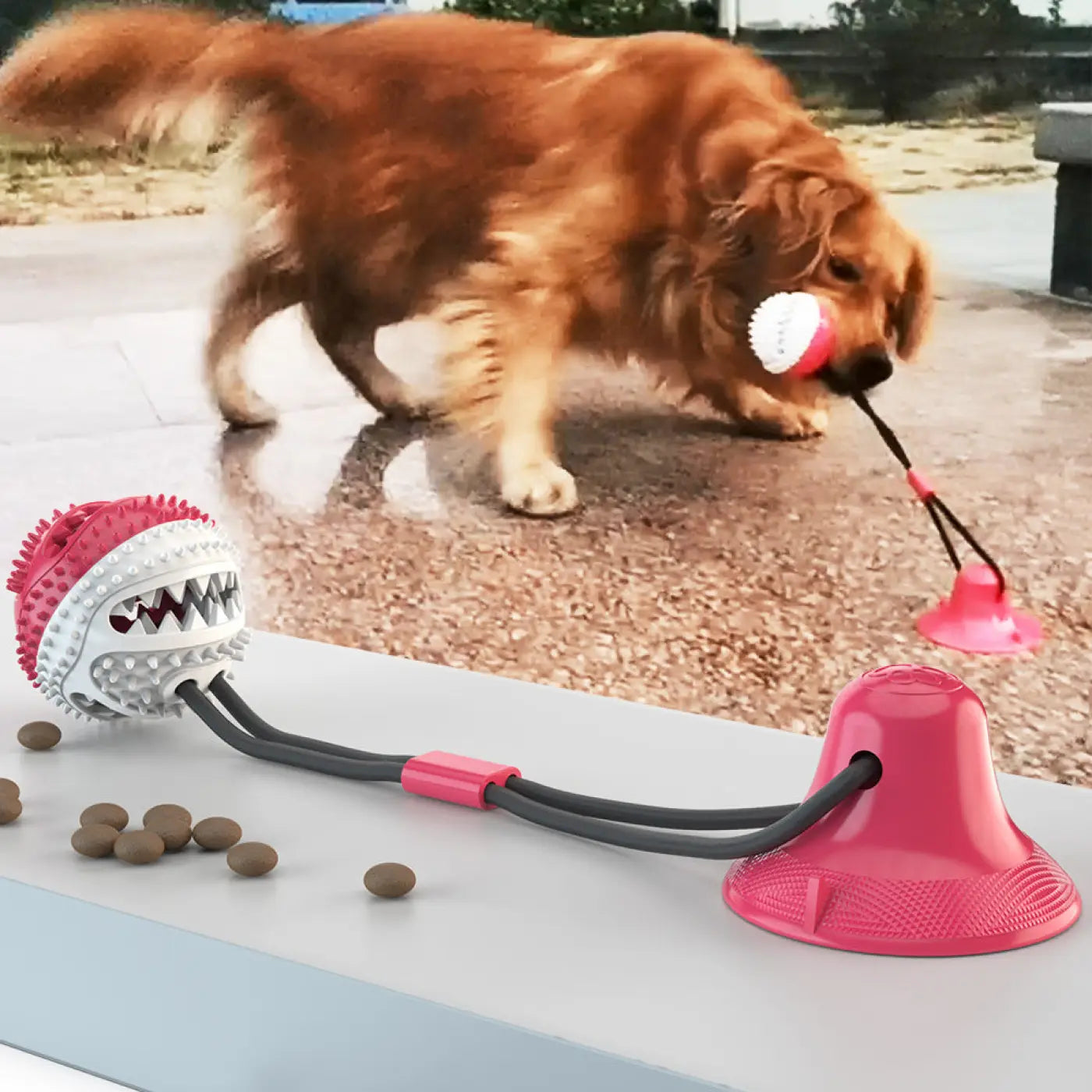 The Ball Depot dog ball: Sucker drawstring ball