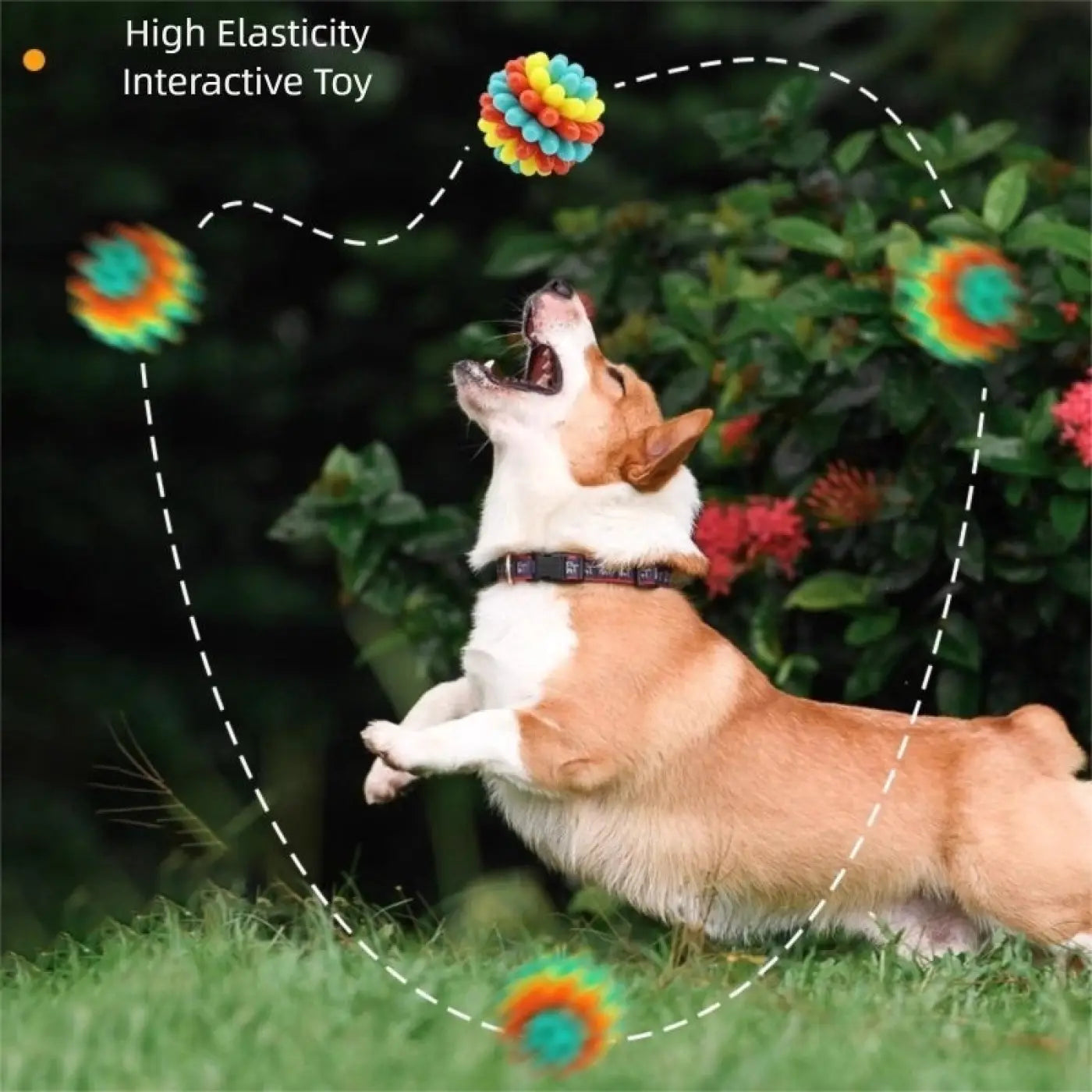 The Ball Depot dog balls: Teething dog Balls