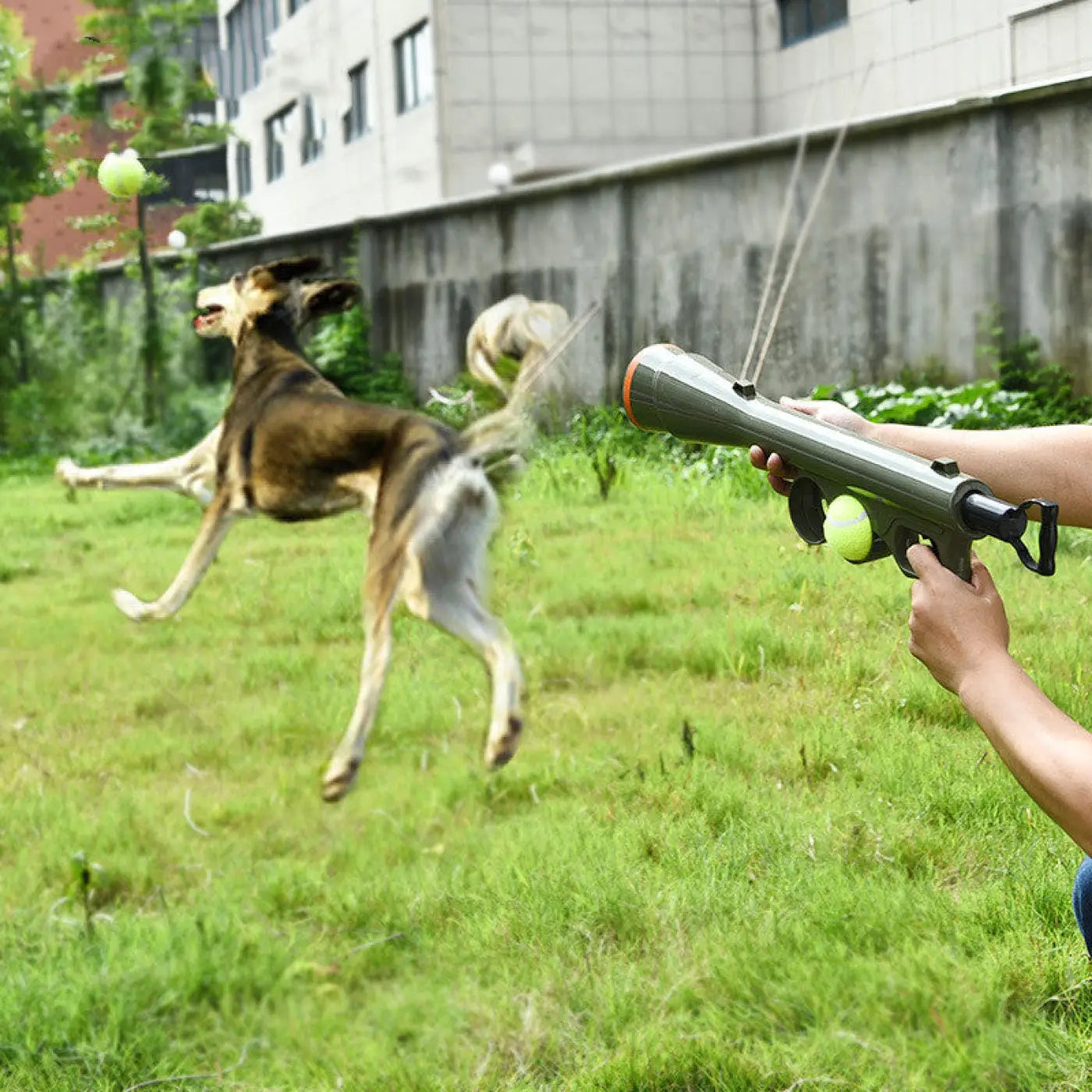 The Ball Depot Accessories: Tennis Ball shooting gun