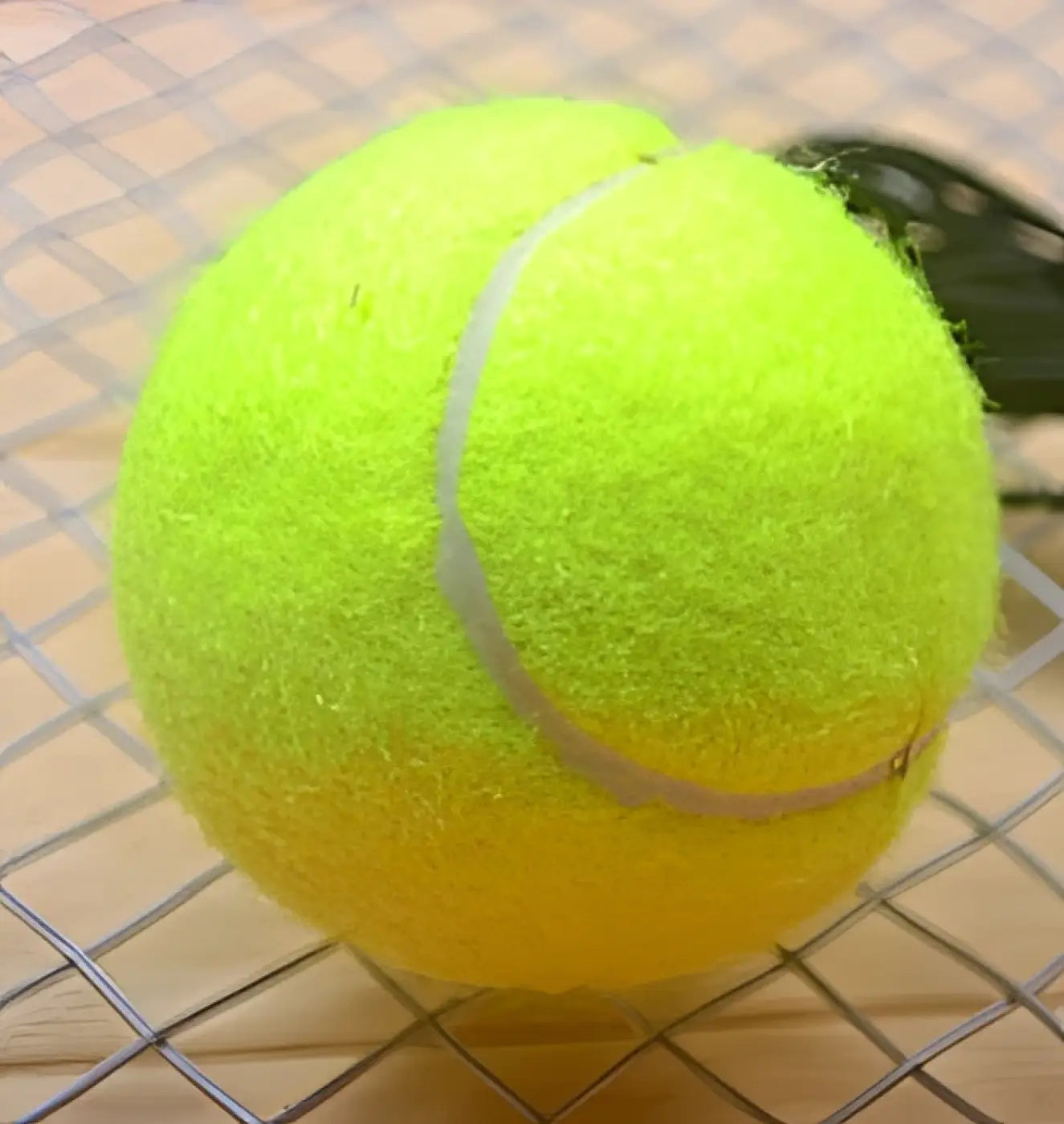 The Ball Depot tennis balls: Tennis Ball with String