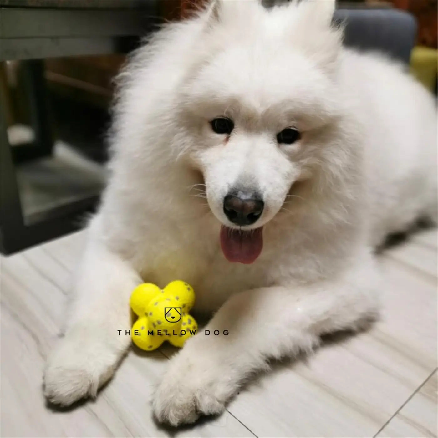 The Ball Depot dog ball: The Mellow Dog Calming Ball