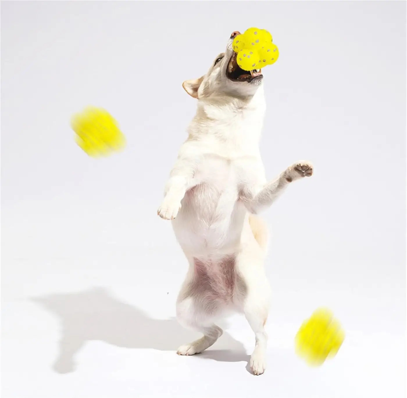 The Ball Depot dog ball: The Mellow Dog Calming Ball