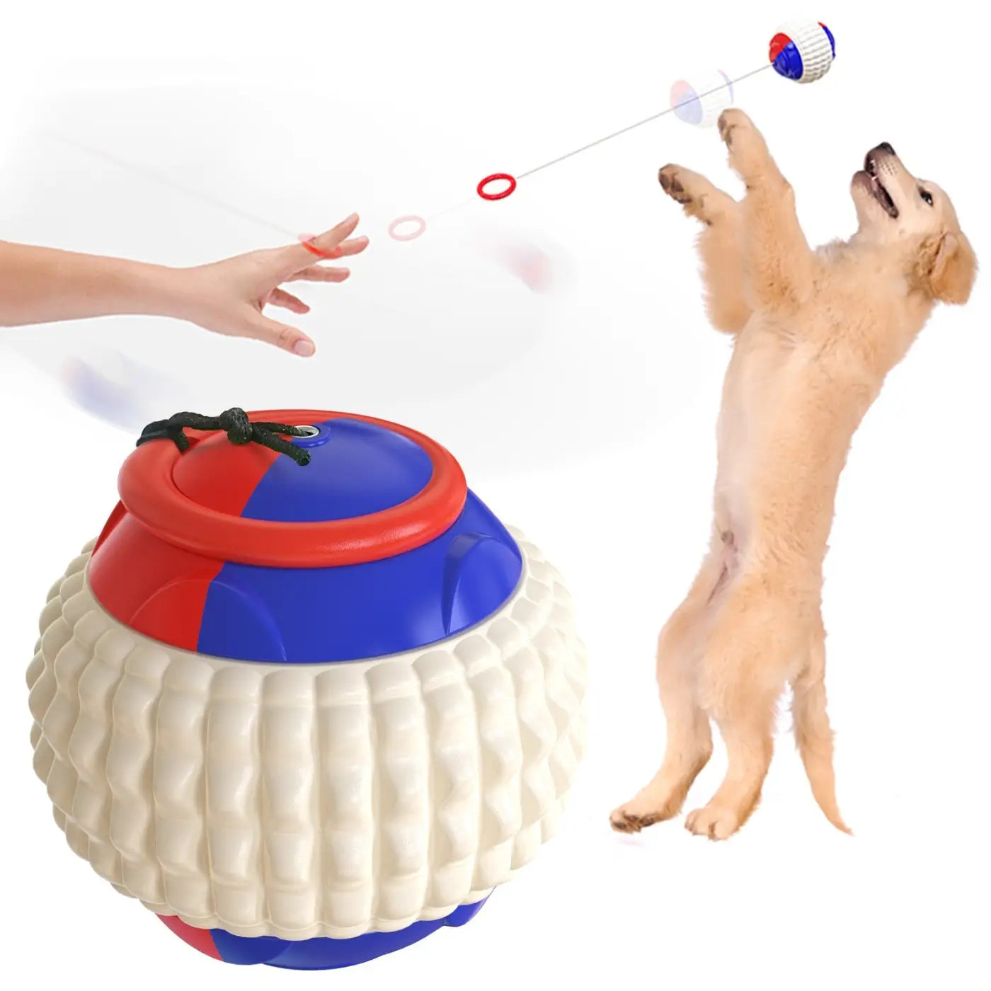 The Ball Depot dog balls: Throwing Dog Balls