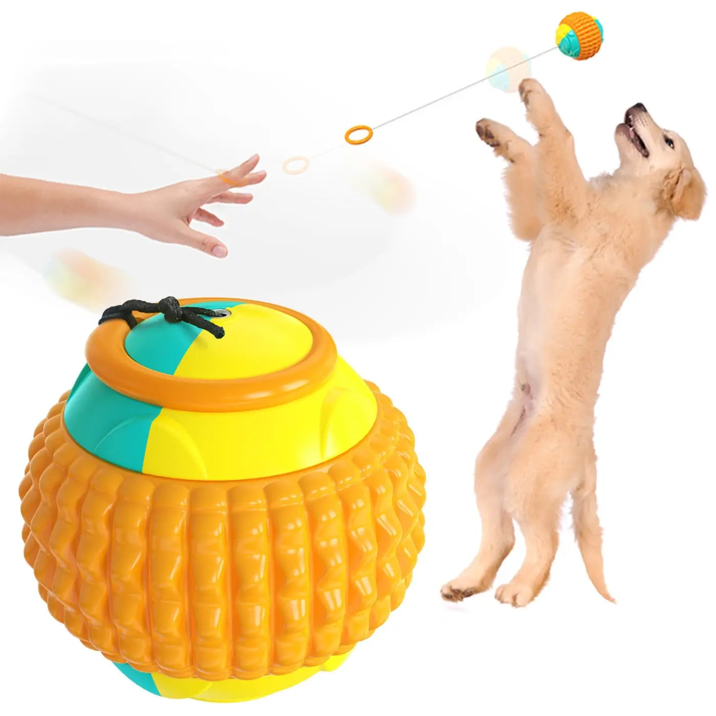 The Ball Depot dog balls: Throwing Dog Balls
