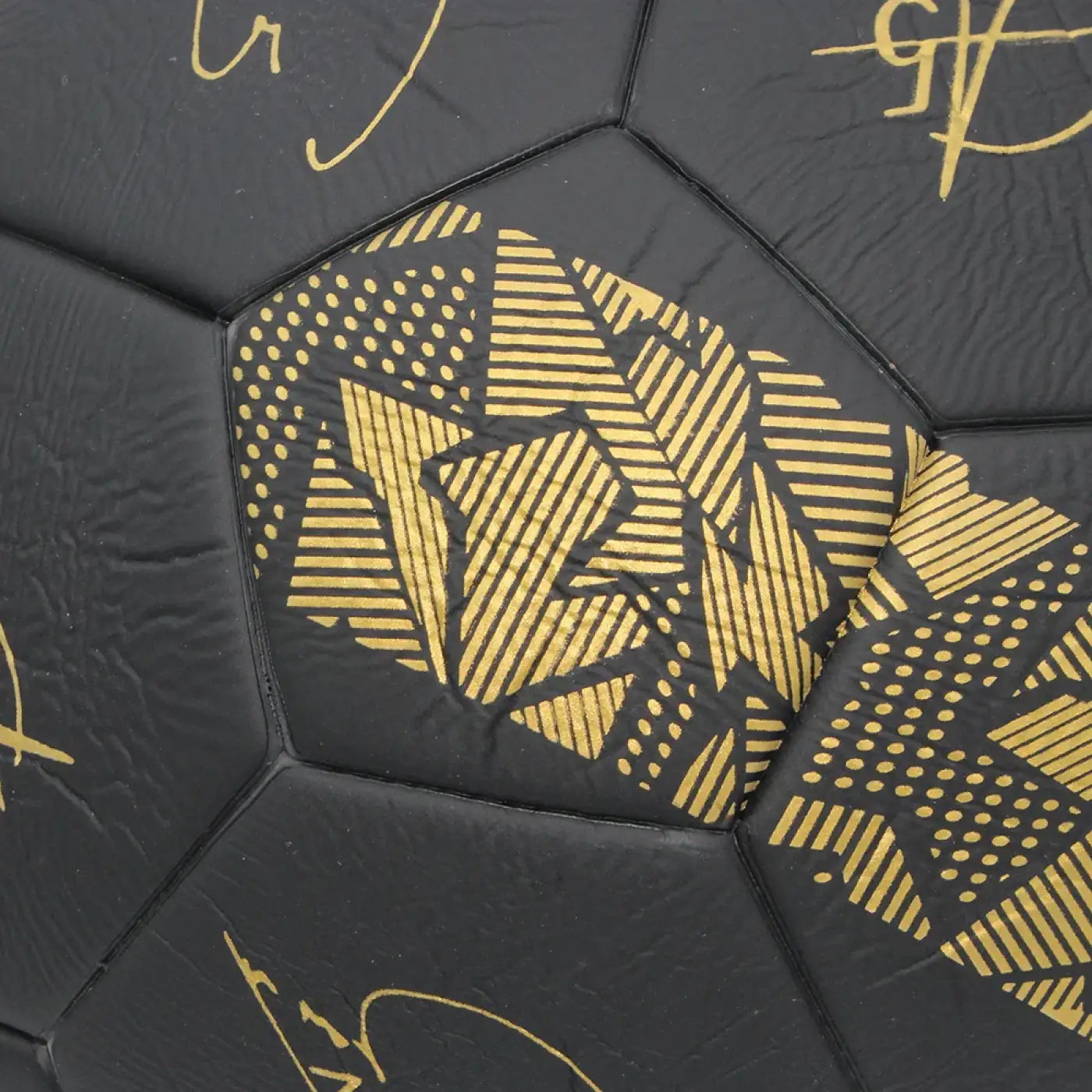 The Ball Depot soccer ball: Training Black Football/soccer ball