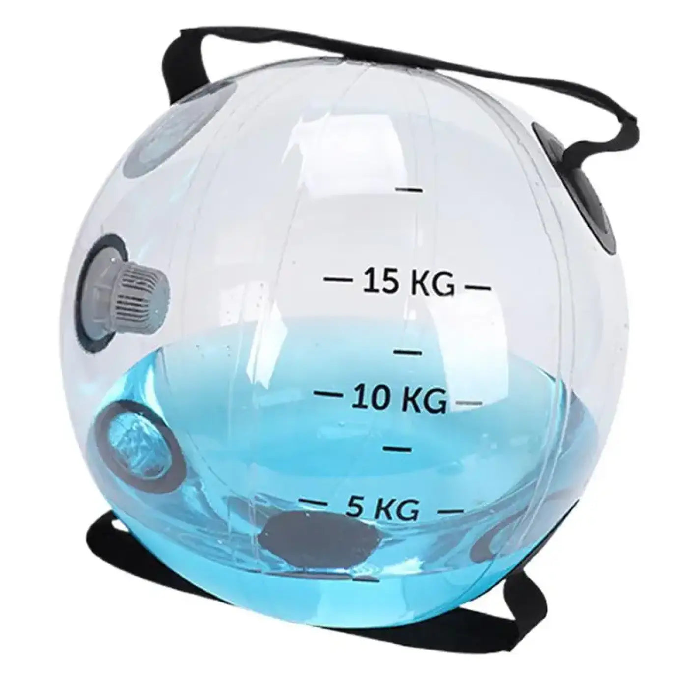The Ball Depot water weight ball: Weight Ball Fitness Water Bag