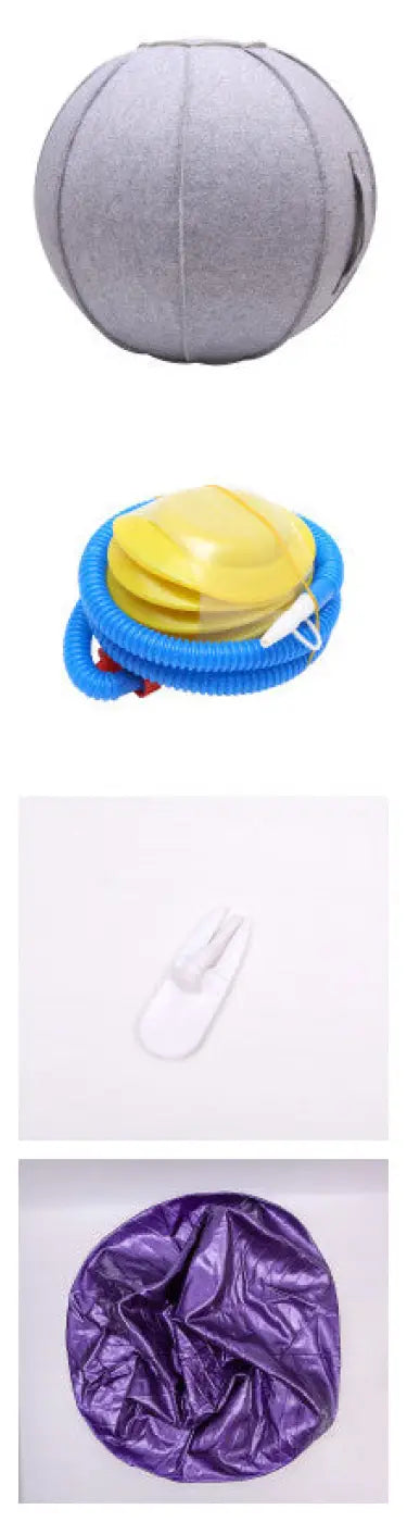 The Ball Depot Accessories: Yoga Ball Cover
