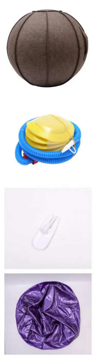 The Ball Depot Accessories: Yoga Ball Cover