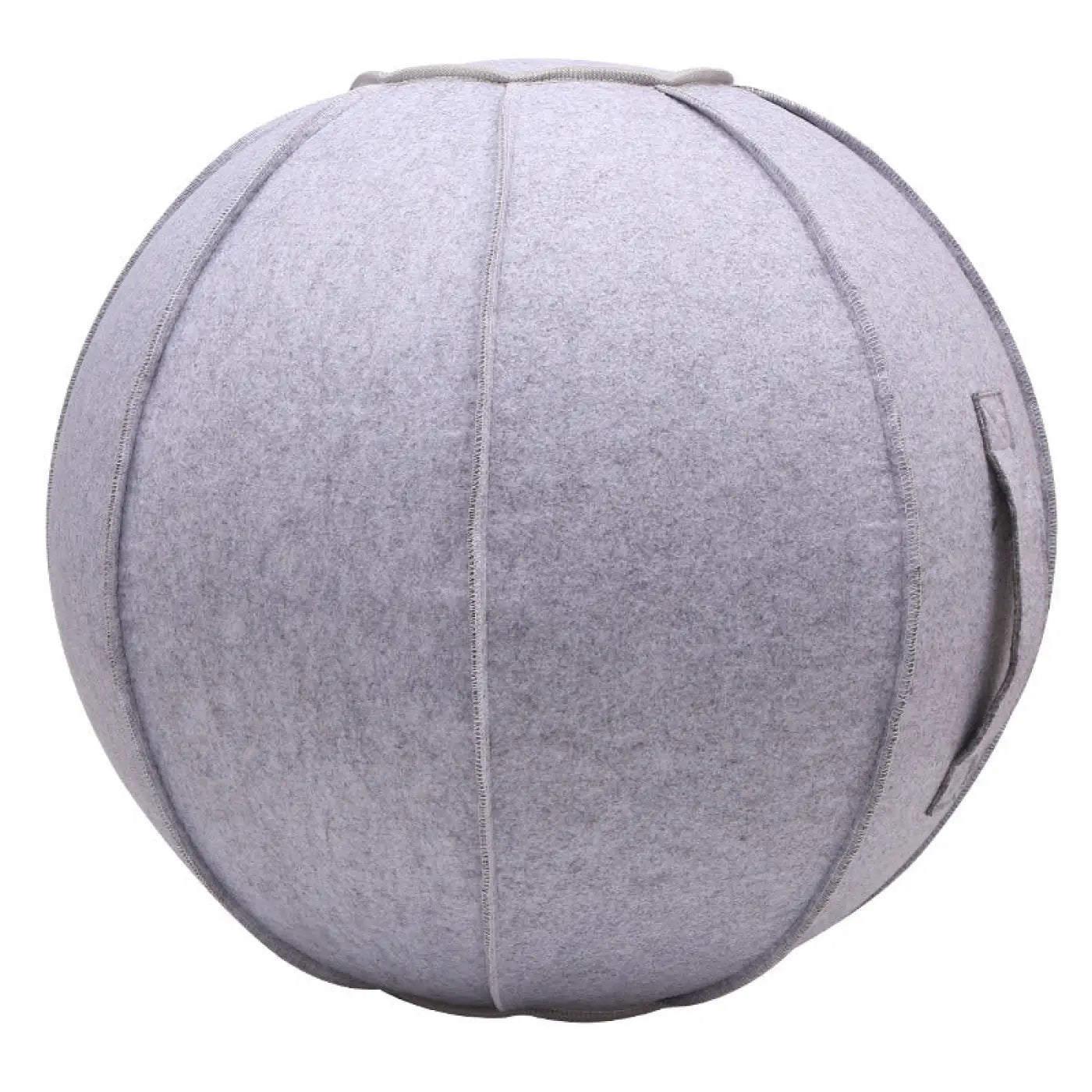 The Ball Depot Accessories: Yoga Ball Cover