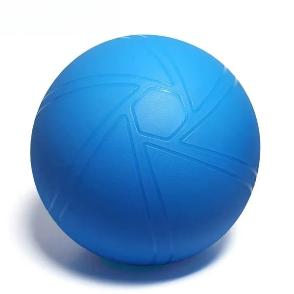 The Ball Depot yoga ball: Yoga Ball with Foot Pump
